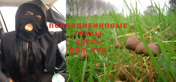 mdpv Алзамай