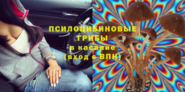 соль ск Алексеевка