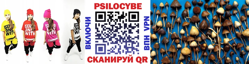 Псилоцибиновые грибы MAGIC MUSHROOMS  Бабушкин 